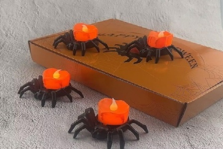 福建国鼎网络科技有限公司形象图